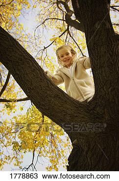 Stock Photo - young girl in 
tree. fotosearch 
- search stock 
photos, pictures, 
images, and photo 
clipart