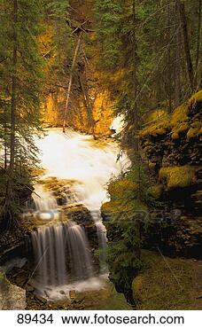 Stock Photo - time delay image 
of waterfall in 
forest. fotosearch 
- search stock 
photos, pictures, 
images, and photo 
clipart