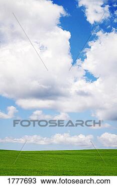 Stock Photo - clouds in the 
sky with a green 
field in the foreground. 
fotosearch - search 
stock photos, 
pictures, images, 
and photo clipart