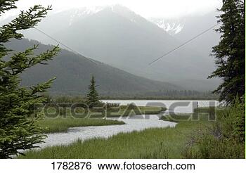 Stock Photo - scenic mountain 
stream. fotosearch 
- search stock 
photos, pictures, 
images, and photo 
clipart