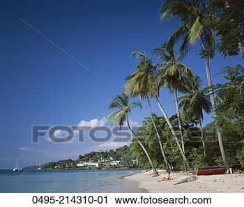 Stock Photography - caribbean, grand 
anse beach, sea, 
sand, palm trees. 
fotosearch - search 
stock photos, 
pictures, images, 
and photo clipart