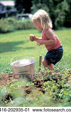 Stock Photography - little girl on 
farm holding potato. 
fotosearch - search 
stock photos, 
pictures, images, 
and photo clipart