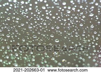 Hazır Fotoğraflar - yağmur yağmak, 
 tespih,  pencere. 
fotosearch - foto, 
resim, görüntü 
ve foto klipart 
ara