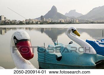 Stock Photography - swan boats in 
rio de janeiro. 
fotosearch - search 
stock photos, 
pictures, images, 
and photo clipart