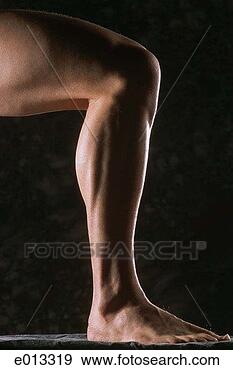 Stock Photograph - man's leg. fotosearch 
- search stock 
photos, pictures, 
images, and photo 
clipart