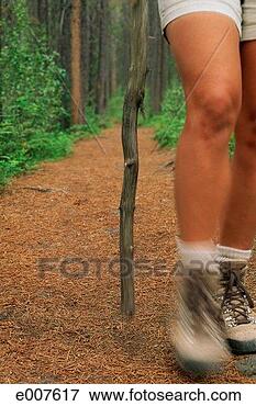 Picture - woman's legs hiking 
along wooded trail. 
fotosearch - search 
stock photos, 
pictures, images, 
and photo clipart