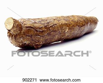 cassava root semblance