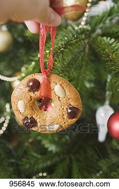 Stock Image - hand holding gingerbread 
tree ornament 
in front of xmas 
tree. fotosearch 
- search stock 
photos, pictures, 
images, and photo 
clipart
