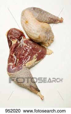 Stock Photography - two guinea-fowl 
legs. fotosearch 
- search stock 
photos, pictures, 
images, and photo 
clipart