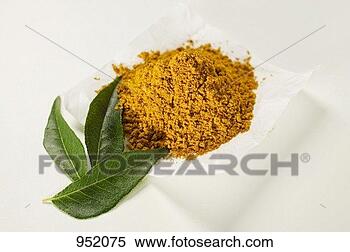 Stock Image - curry powder and  curry leaves.  fotosearch - search  stock photos,  pictures, images,  and photo clipart