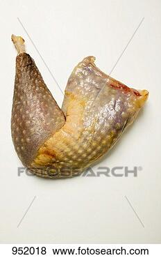 Stock Photo - guinea-fowl leg. 
fotosearch - search 
stock photos, 
pictures, images, 
and photo clipart