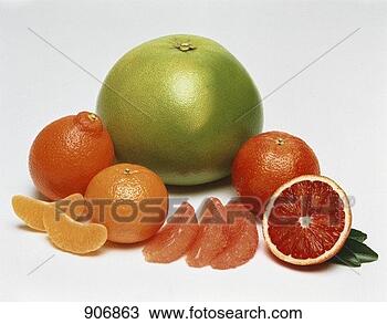 Stock Photo - still life with 
citrus fruit. 
fotosearch - search 
stock photos, 
pictures, images, 
and photo clipart