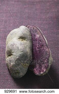 Stock Photography - truffle potato, 
halved (france). 
fotosearch - search 
stock photos, 
pictures, images, 
and photo clipart
