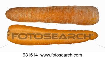 Stock Photo - one whole and 
one half organic 
carrot. fotosearch 
- search stock 
photos, pictures, 
images, and photo 
clipart