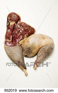 Stock Photograph - two guinea-fowl 
legs. fotosearch 
- search stock 
photos, pictures, 
images, and photo 
clipart