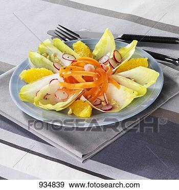 Stock Photograph - chicory and vegetable 
salad with orange 
segments. fotosearch 
- search stock 
photos, pictures, 
images, and photo 
clipart