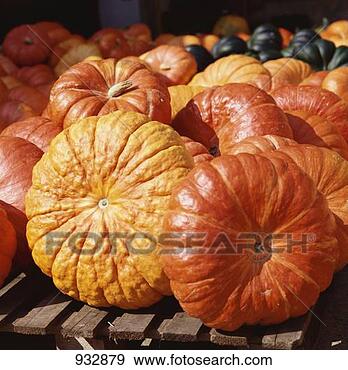 Stock Photograph - pumpkin still 
life (variety: 
roter zentner). 
fotosearch - search 
stock photos, 
pictures, images, 
and photo clipart