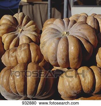 Stock Photography - pumpkin still 
life. fotosearch 
- search stock 
photos, pictures, 
images, and photo 
clipart