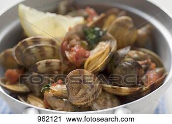 Stock Photography - clams with tomatoes.  fotosearch - search  stock photos,  pictures, images,  and photo clipart