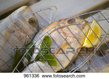 Stock Photo - fresh sea bream 
with bay leaves 
& lemon, for grilling. 
fotosearch - search 
stock photos, 
pictures, images, 
and photo clipart