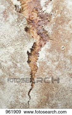 Stock Photograph - rustic bread (detail). 
fotosearch - search 
stock photos, 
pictures, images, 
and photo clipart