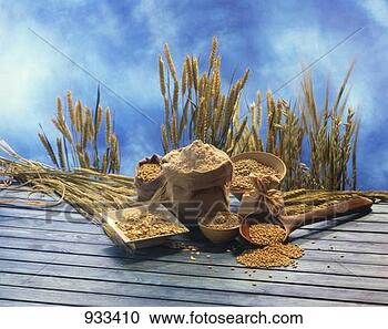 Stock Photography - still life with 
cereal grains, 
flour and cereal 
ears. fotosearch 
- search stock 
photos, pictures, 
images, and photo 
clipart