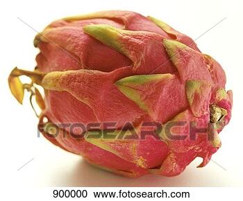 Hazır Fotoğraflar - bekâr,  pitahaya. 
fotosearch - foto, 
resim, görüntü 
ve foto klipart 
ara