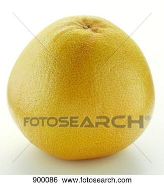 Hazır Fotoğraf - tüm,  greyfurt. 
fotosearch - foto, 
resim, görüntü 
ve foto klipart 
ara