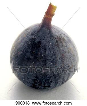 Hazır Fotoğraf - incir. fotosearch 
- foto, resim, 
görüntü ve foto 
klipart ara
