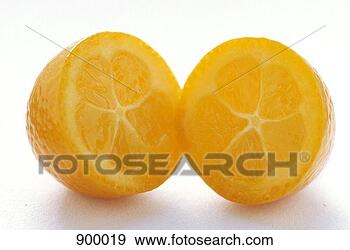 Hazır Fotoğraf - kumquat,  dilimli, 
 yari. fotosearch 
- foto, resim, 
görüntü ve foto 
klipart ara