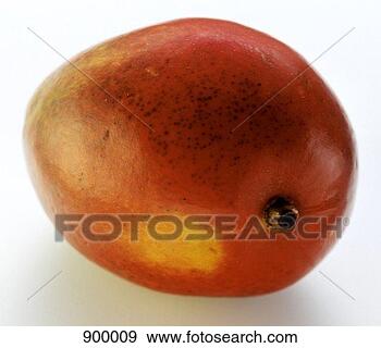 Hazır Fotoğraf - mango. fotosearch 
- foto, resim, 
görüntü ve foto 
klipart ara