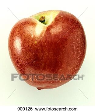 Hazır Fotoğraf - nectarine. fotosearch 
- foto, resim, 
görüntü ve foto 
klipart ara