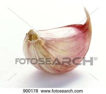 Hazır Fotoğraf - diş,  sarımsak. 
fotosearch - foto, 
resim, görüntü 
ve foto klipart 
ara