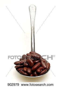 Hazır Fotoğraf - kepçe,  böbrek, 
 fasulyeler. fotosearch 
- foto, resim, 
görüntü ve foto 
klipart ara