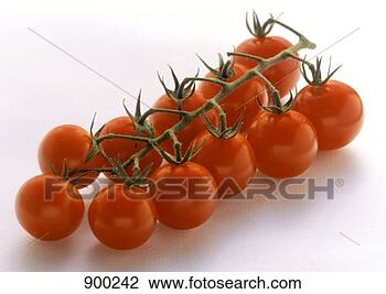 Hazır Fotoğraf - kiraz,  domatesler, 
 asma. fotosearch 
- foto, resim, 
görüntü ve foto 
klipart ara