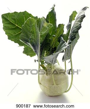 Resim - kohlrabi. fotosearch 
- foto, resim, 
görüntü ve foto 
klipart ara