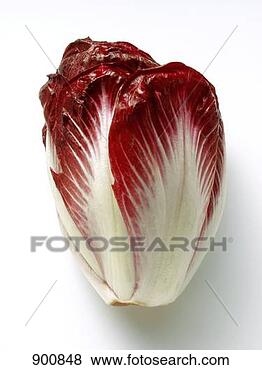 Hazır Fotoğraf - radicchio. fotosearch 
- foto, resim, 
görüntü ve foto 
klipart ara