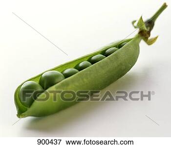 Resim - şeker,  kap,  
bezelye,  ayakli. 
fotosearch - foto, 
resim, görüntü 
ve foto klipart 
ara