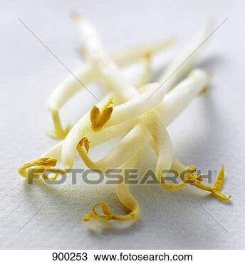Hazır Fotoğraf - soya,  brüksel 
lâhanasi. fotosearch 
- foto, resim, 
görüntü ve foto 
klipart ara