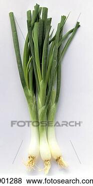Hazır Fotoğraf - üç,  yeşil,  soğanlar. 
fotosearch - foto, 
resim, görüntü 
ve foto klipart 
ara
