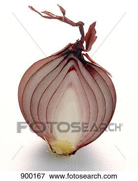Resim - yari,  kizil, 
 soğan. fotosearch 
- foto, resim, 
görüntü ve foto 
klipart ara