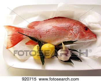 Hazır Görüntü - kizil,  snapper, 
 kâğit,  limon, 
 sarımsak,  (1). 
fotosearch - foto, 
resim, görüntü 
ve foto klipart 
ara