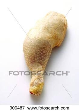 Resim - uncooked,  tavuk, 
 ayak. fotosearch 
- foto, resim, 
görüntü ve foto 
klipart ara