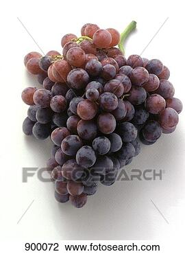Stock Photo - a bunch of red 
grapes. fotosearch 
- search stock 
photos, pictures, 
images, and photo 
clipart