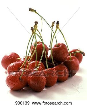 Stock Photograph - many red cherries 
with stems. fotosearch 
- search stock 
photos, pictures, 
images, and photo 
clipart