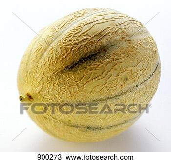 Hazır Fotoğraf - netted,  kavun. 
fotosearch - foto, 
resim, görüntü 
ve foto klipart 
ara