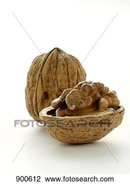 Hazır Fotoğraf - opened,  tüm, 
 ceviz. fotosearch 
- foto, resim, 
görüntü ve foto 
klipart ara