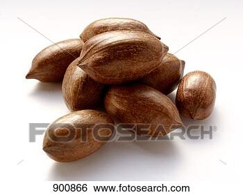 Hazır Fotoğraf - pecans. fotosearch 
- foto, resim, 
görüntü ve foto 
klipart ara