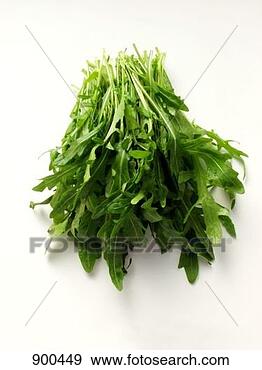 Hazır Fotoğraf - salkim,  arugula. 
fotosearch - foto, 
resim, görüntü 
ve foto klipart 
ara
