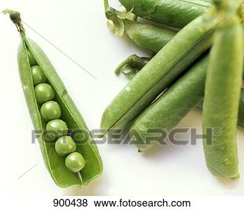 Hazır Fotoğraf - birkaç,  şeker, 
 kap,  bezelye, 
 kılıflar,  olan, 
 opened. fotosearch 
- foto, resim, 
görüntü ve foto 
klipart ara